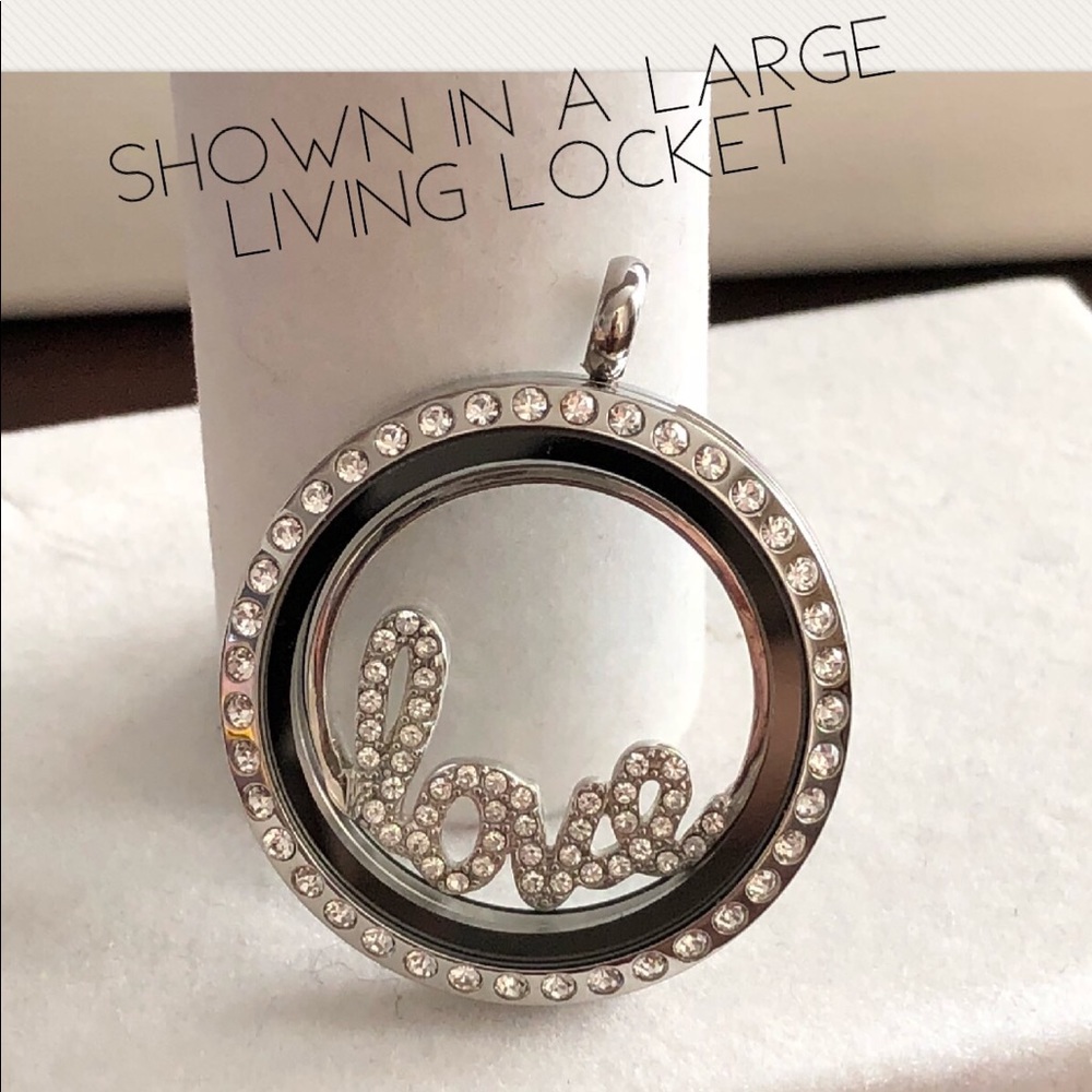 Origami Owl LARGE SILVER LOVE window plate - Picture 3 of 4